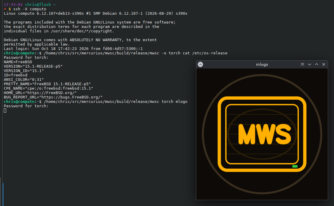 Debian Linux running on an IBM Z (s390x) system. A terminal window shows Mercurius commands connecting to a FreeBSD workstation, while the MWS mlogo application window is running remotely on FreeBSD and displayed locally.